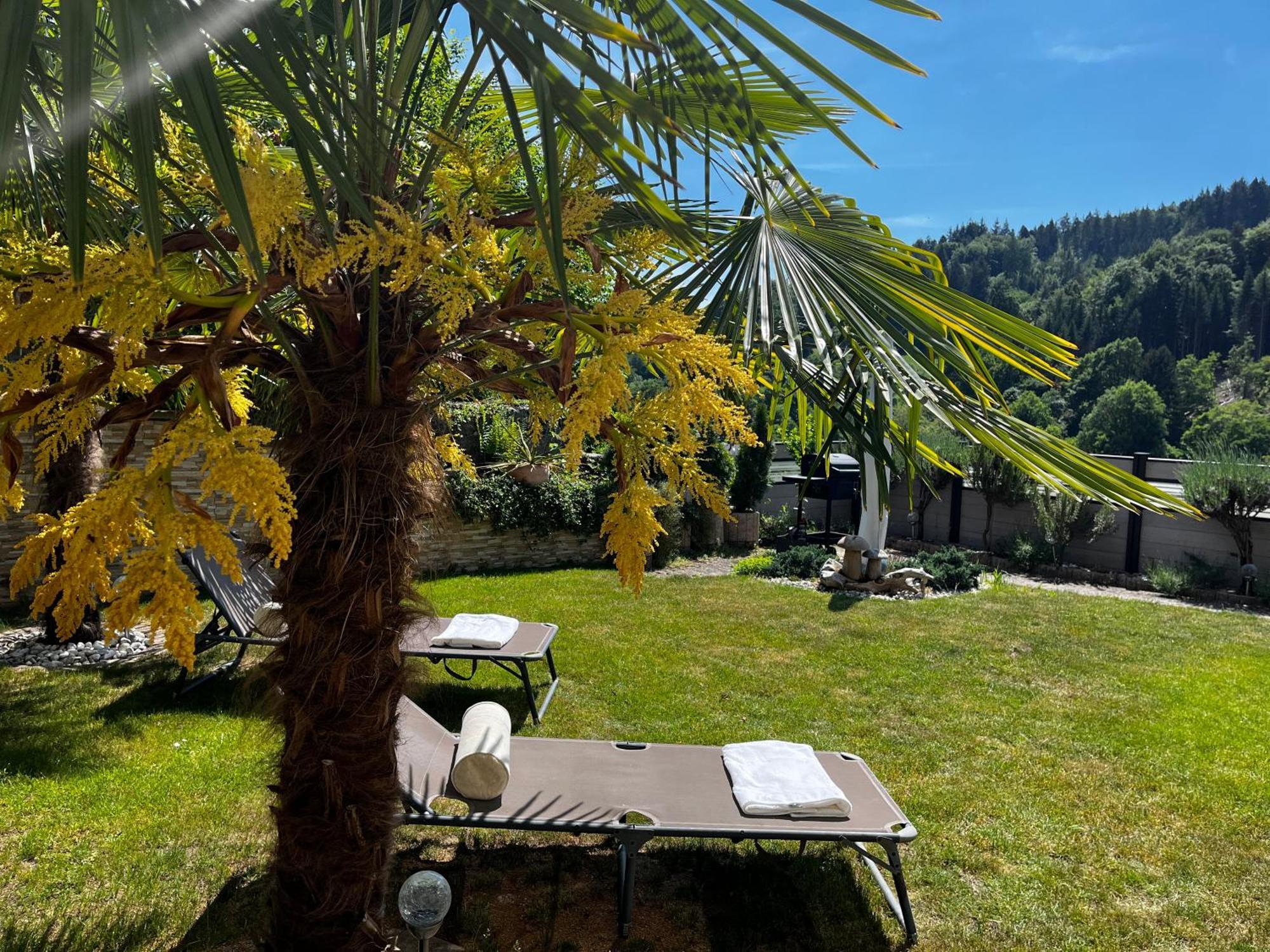 Wellness Fewo Szymecki Schonau  Exterior foto